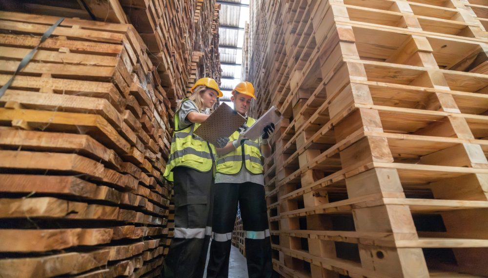 Woodworkers,Meticulously,Monitor,Co2,Emissions,At,Wood,Factory,Warehouse,With