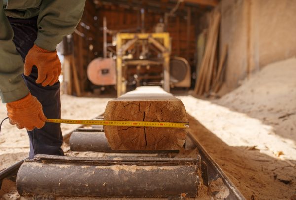 A worker measuring the diameter of a cut log at a sawmill, illustrating the process of reading wood grain direction and growth rings.