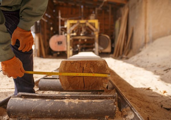 A worker measuring the diameter of a cut log at a sawmill, illustrating the process of reading wood grain direction and growth rings.