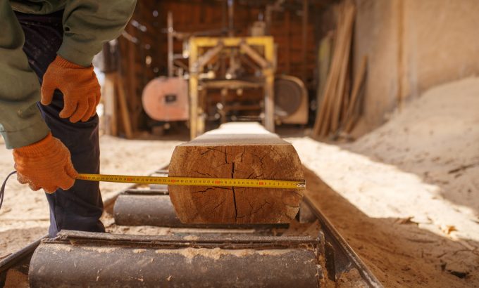 Woodworker,With,Measuring,Tape,Measures,The,Log A worker measuring the diameter of a cut log at a sawmill, illustrating the process of reading wood grain direction and growth rings.